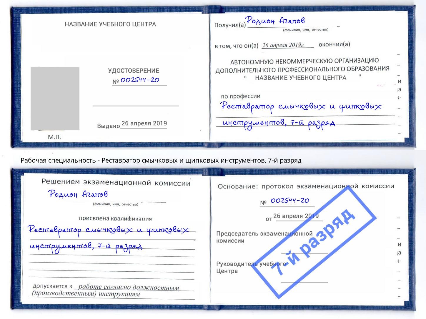 корочка 7-й разряд Реставратор смычковых и щипковых инструментов Аксай